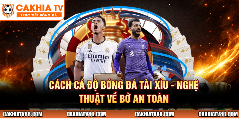 Cách Cá Độ Bóng Đá Tài Xỉu